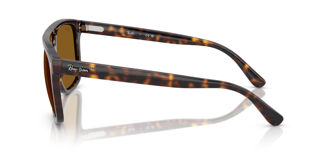 ray-ban rb2213 sunglasses | havana