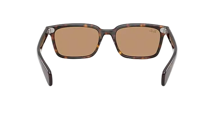 ray-ban brunel sunglasses | havana w brown