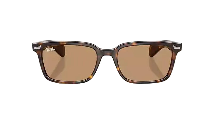 ray-ban brunel sunglasses | havana w brown