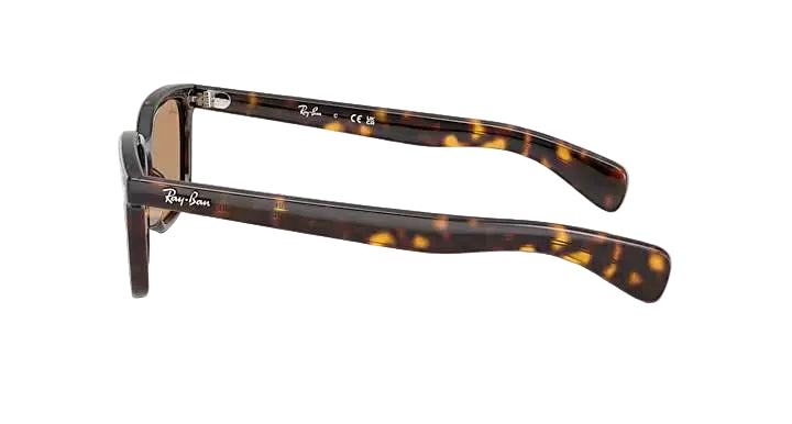 ray-ban brunel sunglasses | havana w brown