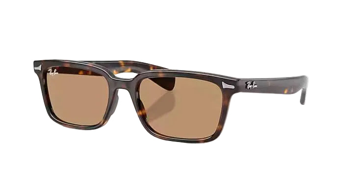 ray-ban brunel sunglasses | havana w brown