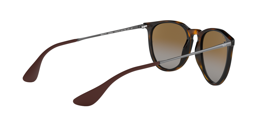 ray-ban erika classic sunglasses | light havana