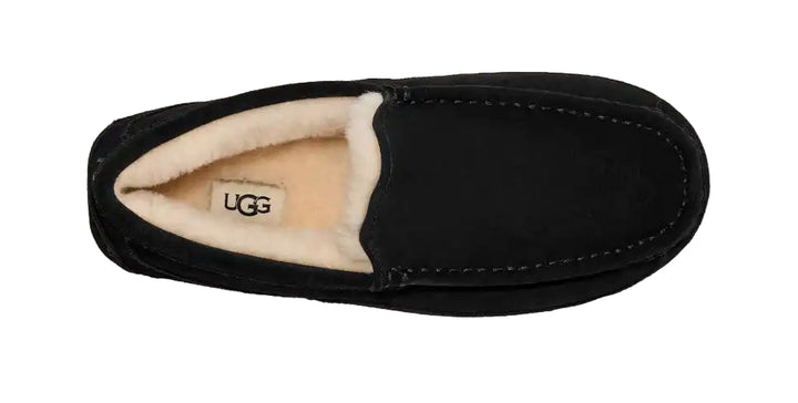 ugg ascot men's | black