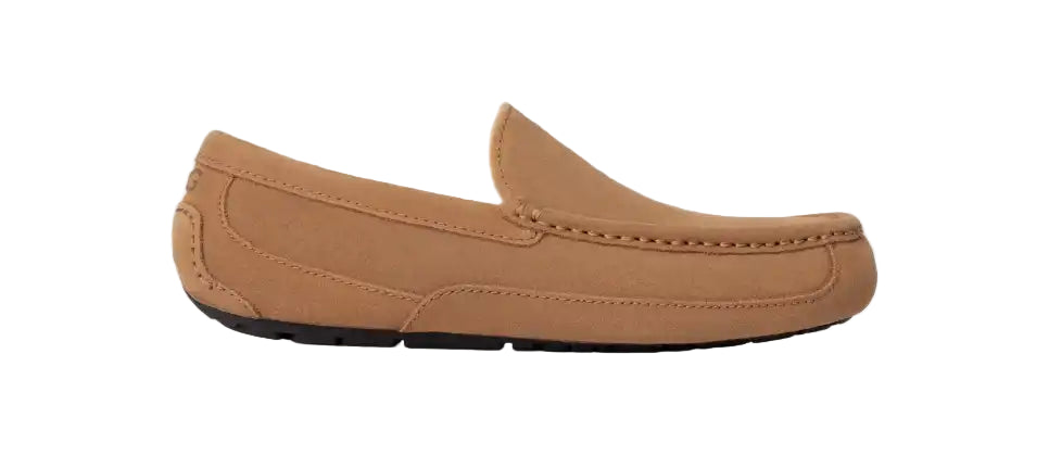 ugg ascot wide men's | chestnut