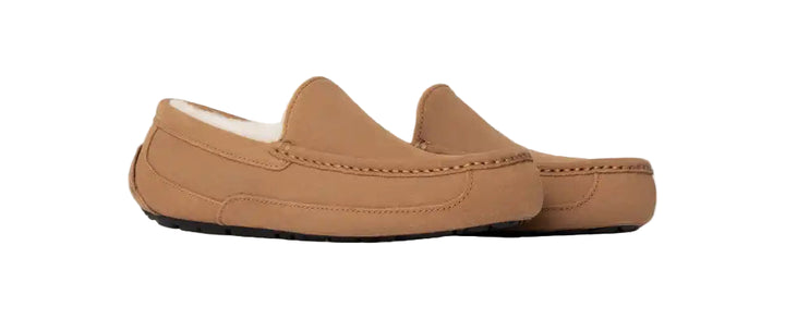 ugg ascot wide men's | chestnut