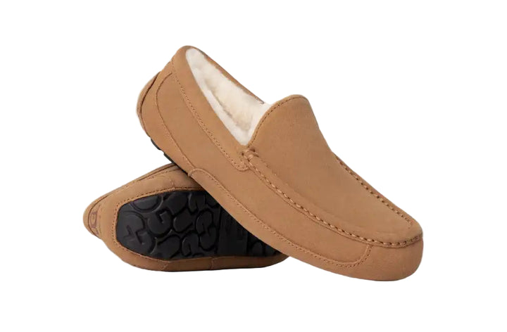 ugg ascot wide men's | chestnut