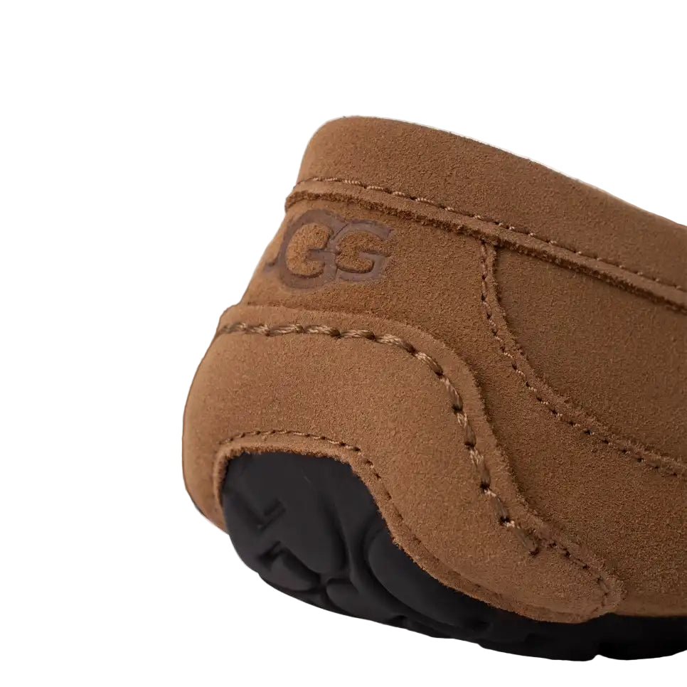 ugg ascot wide men's | chestnut