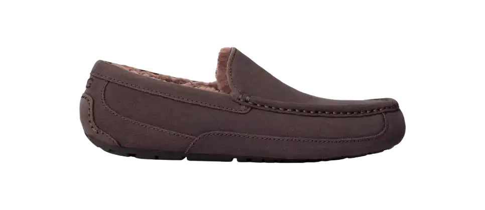 ugg ascot men's | dusted cocoa