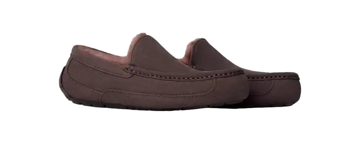 ugg ascot men's | dusted cocoa
