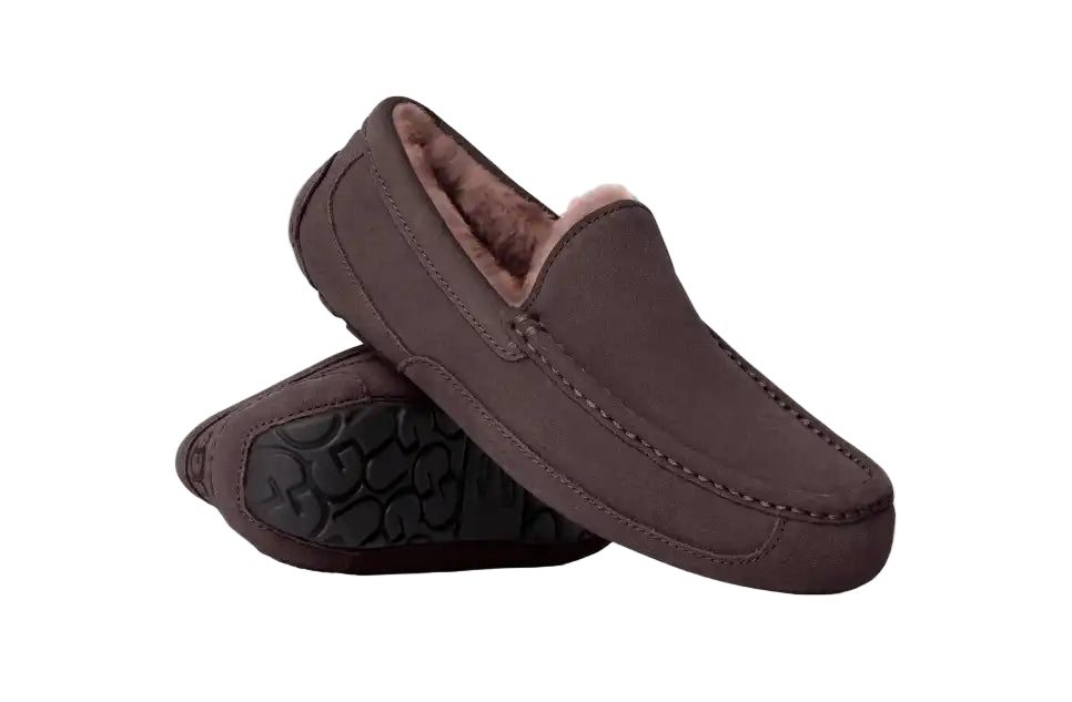 ugg ascot men's | dusted cocoa