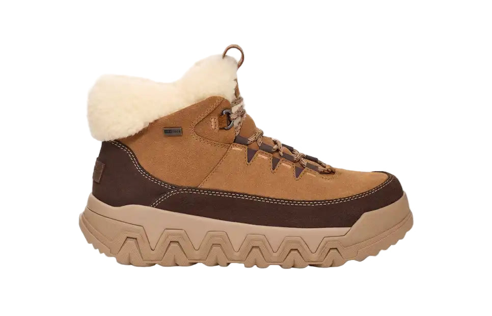 ugg terretrail cozy lace womne's | chestnut