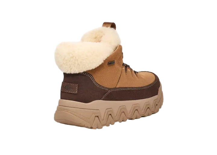 ugg terretrail cozy lace womne's | chestnut