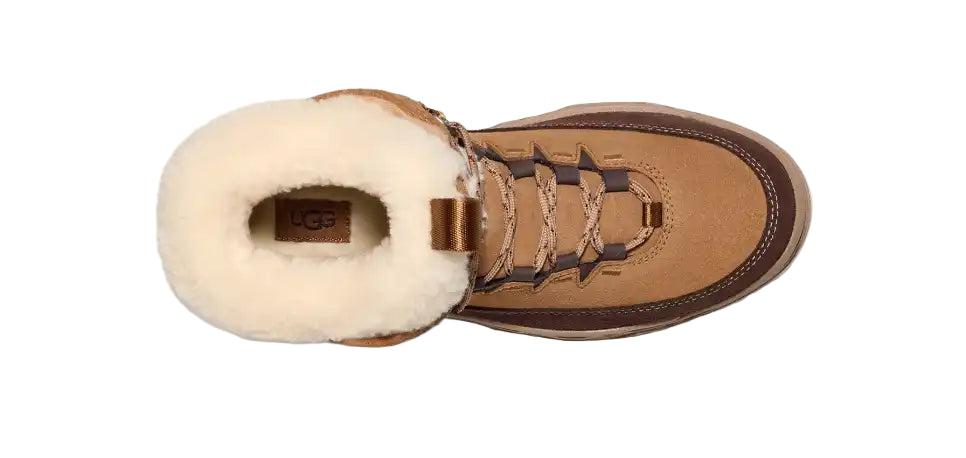 ugg terretrail cozy lace womne's | chestnut