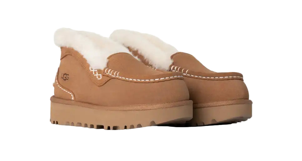 ugg ansley parc women's | chestnut