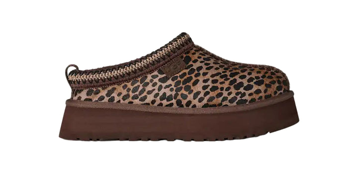 ugg tazz caspian women's | bcdr