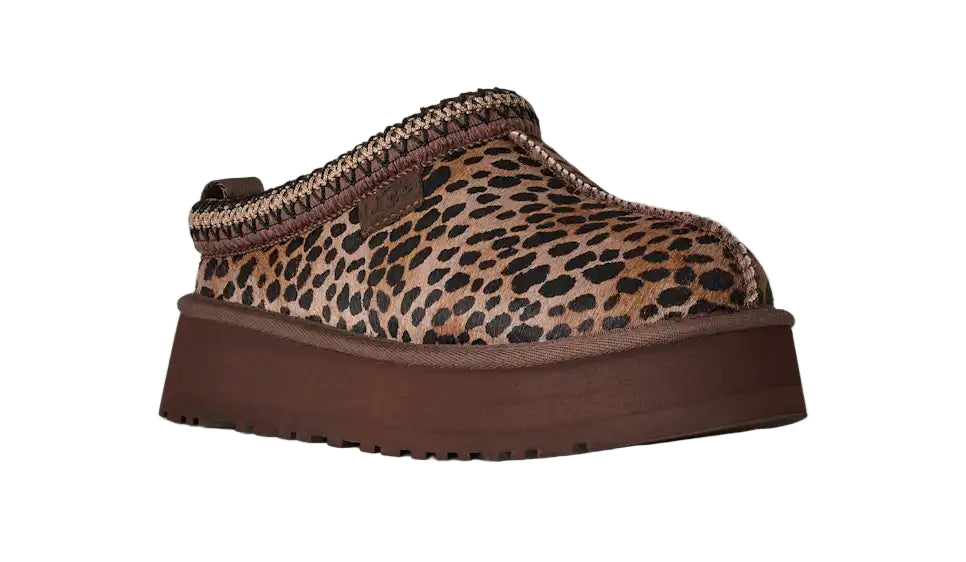 ugg tazz caspian women's | bcdr