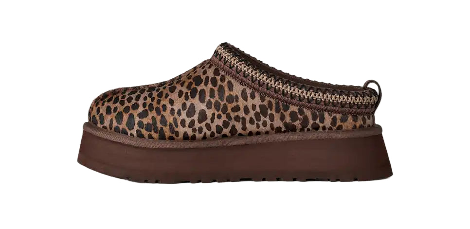 ugg tazz caspian women's | bcdr