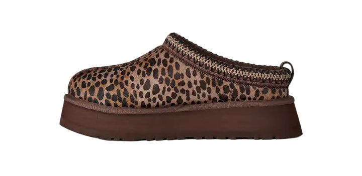 ugg tazz caspian women's | bcdr
