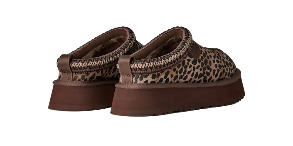 ugg tazz caspian women's | bcdr