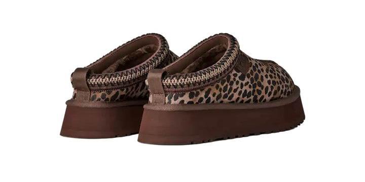 ugg tazz caspian women's | bcdr