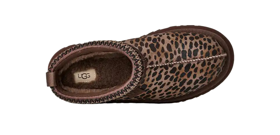 ugg tazz caspian women's | bcdr