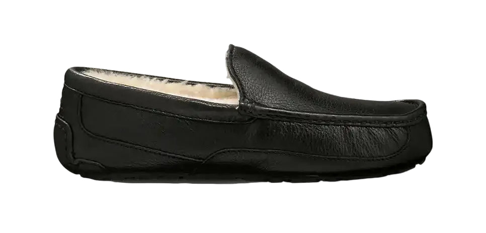 ugg ascot men's | 