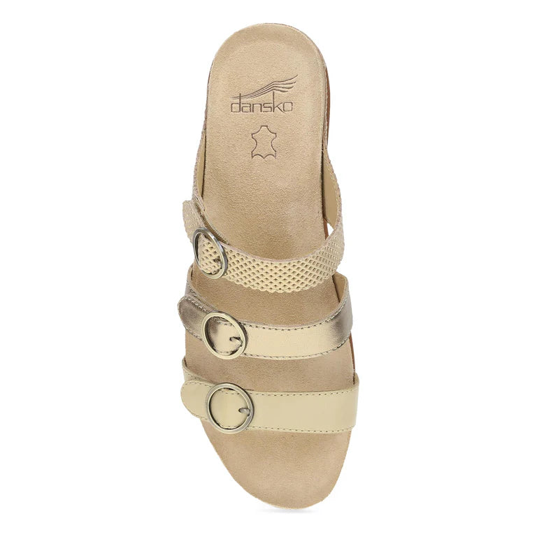 dansko campbell women's | gold multi