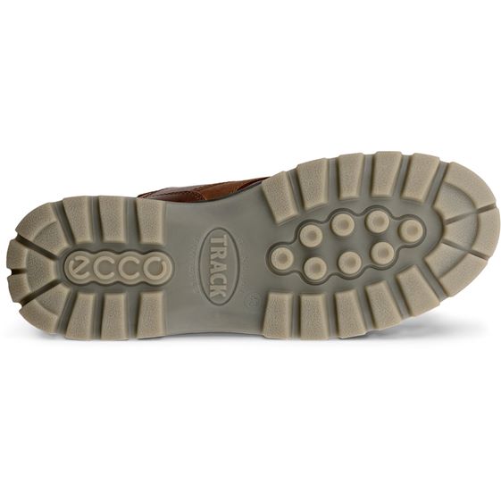 ecco track 25 men's | brown