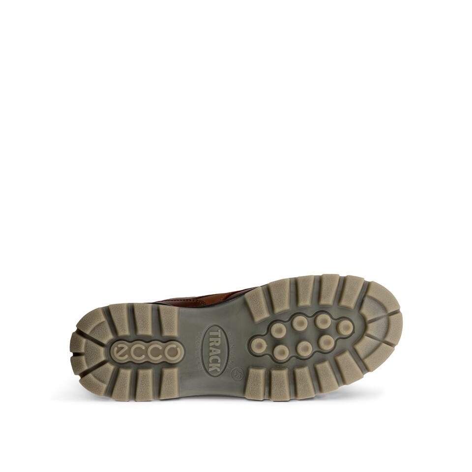 ecco track 25 low gtx men's | bison
