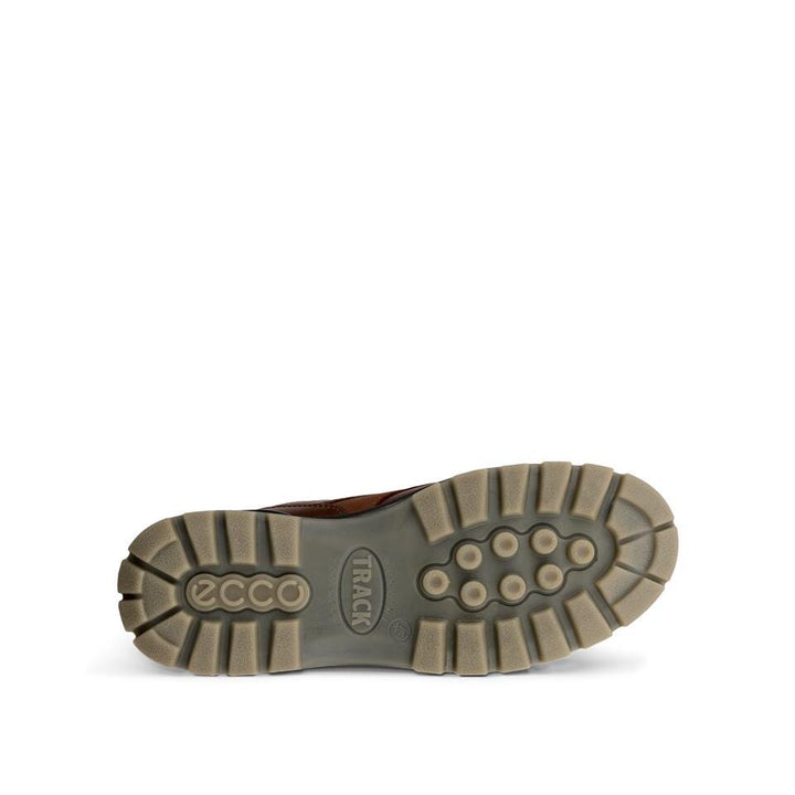 ecco track 25 low gtx men's | bison