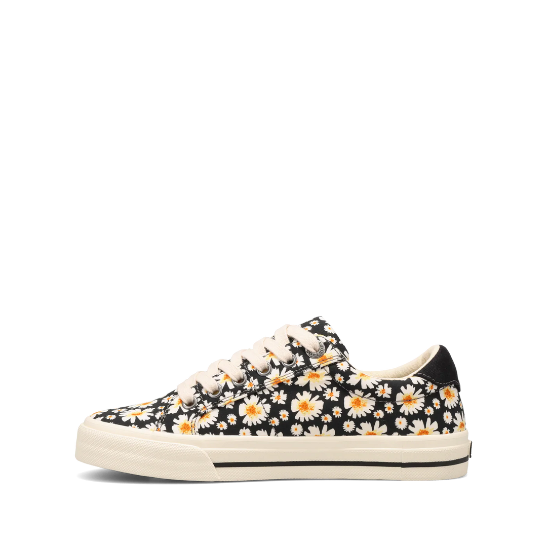 taos z soul women's | black daisy