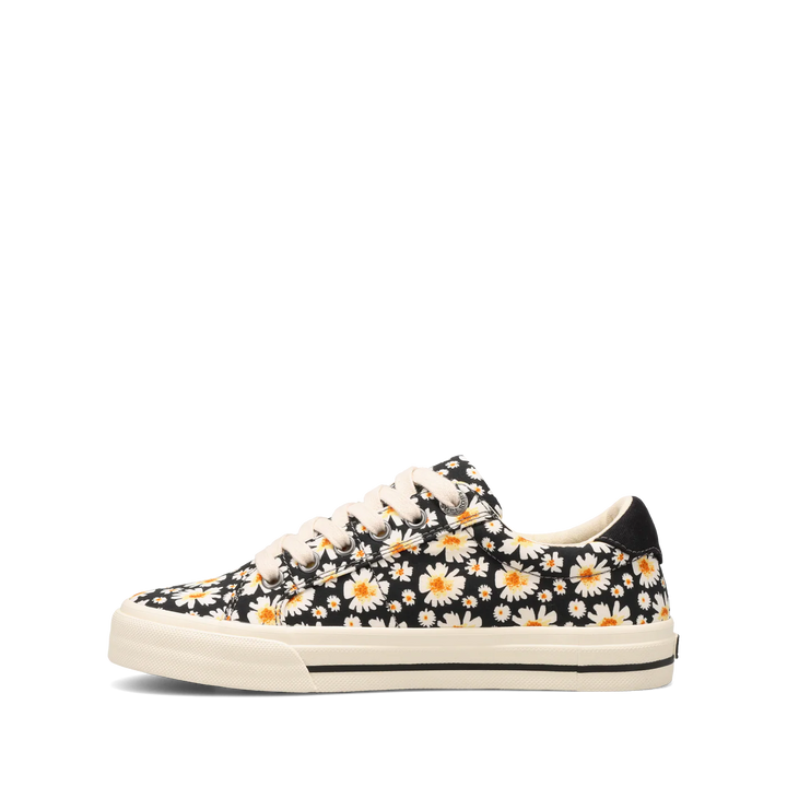taos z soul women's | black daisy