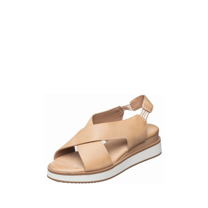 antelope b38 kylie sport women's | antelope b38 kylie sport women's