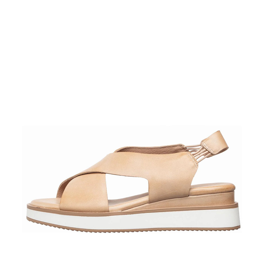 antelope b38 kylie sport women's | antelope b38 kylie sport women's