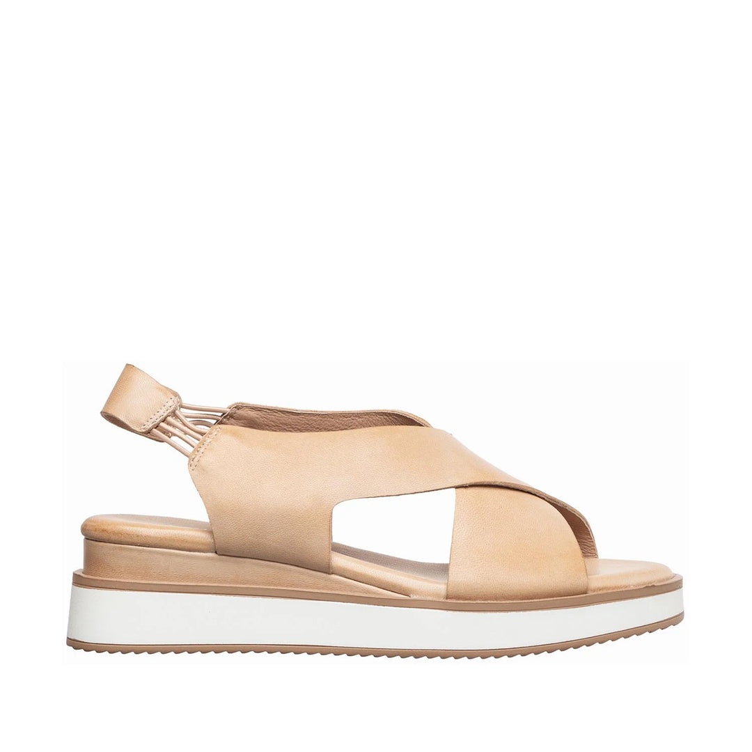 antelope b38 kylie sport women's | antelope b38 kylie sport women's