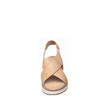 antelope b38 kylie sport women's | antelope b38 kylie sport women's