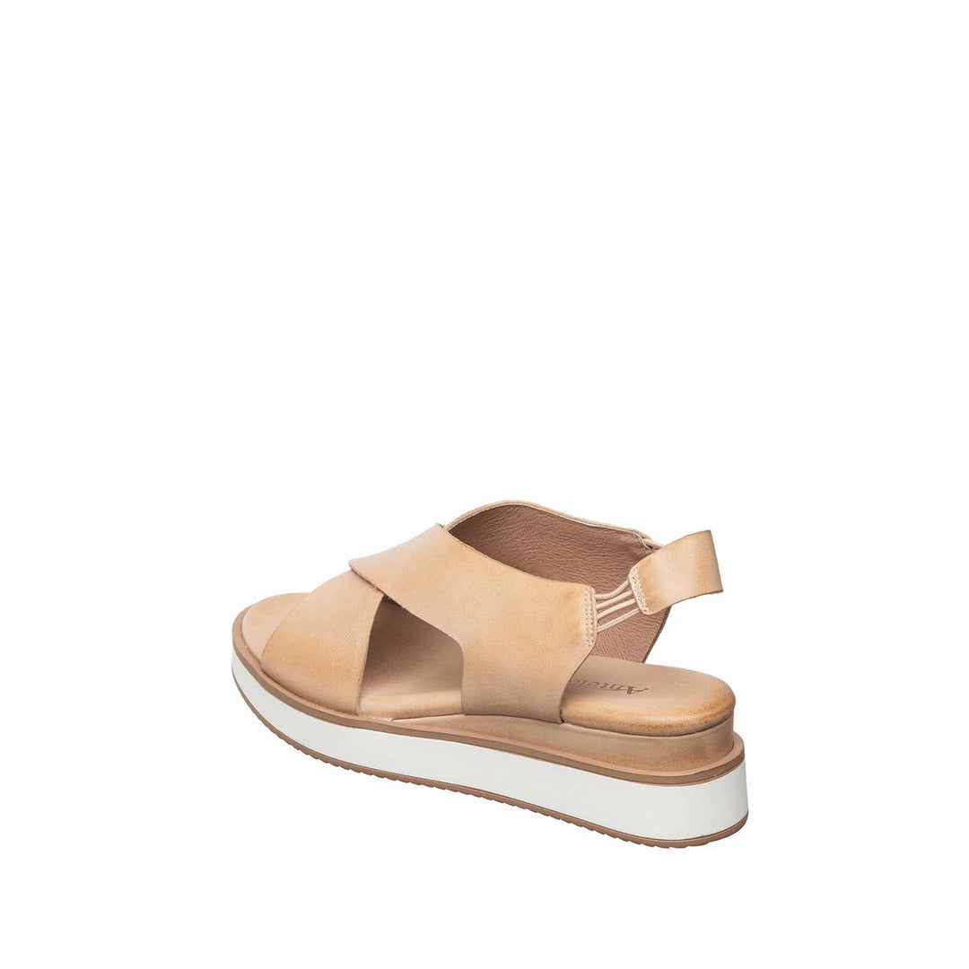 antelope b38 kylie sport women's | antelope b38 kylie sport women's