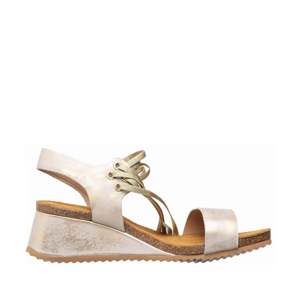 antelope b82 bianca flex women's | 