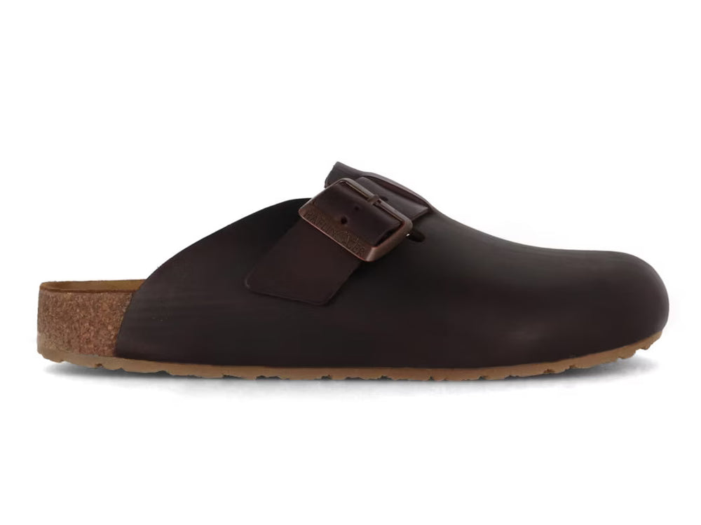haflinger porto | 