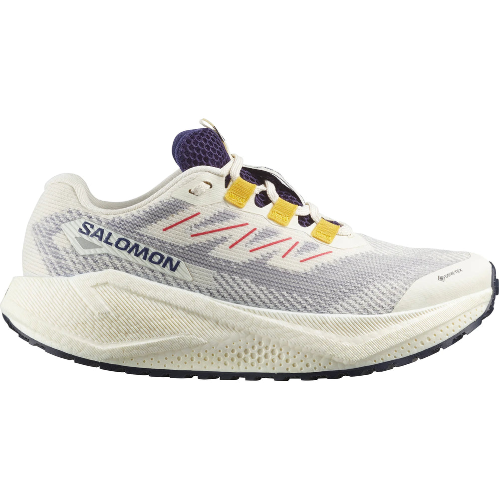 salomon aero blaze 3 gravel gtx women's | 