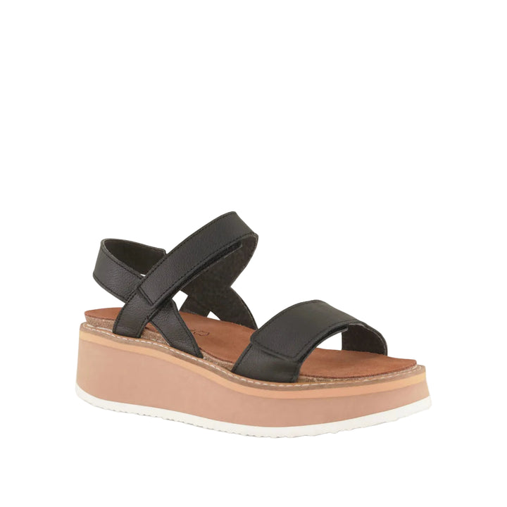 naot meringue women's | blk soft lea