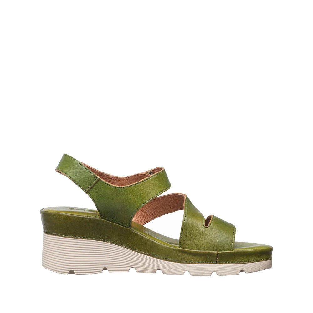 antelope s72 jaycee women's | 