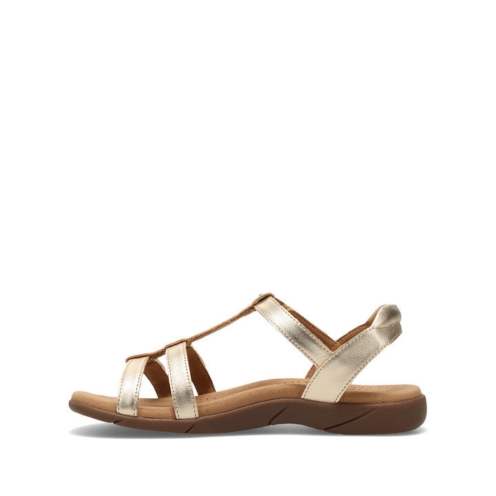 taos trophy 2 women's | gold