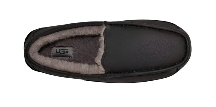 UGG Ascot Men's