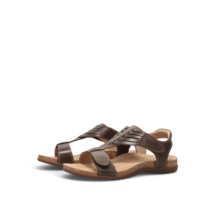 taos wonderful women's | mocha
