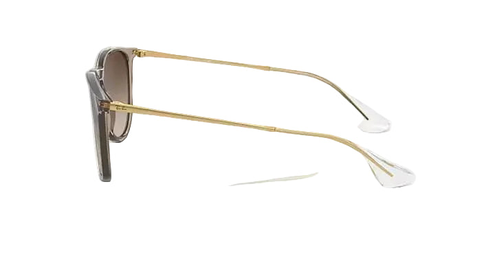 ray-ban erika classic sunglasses | transparent light brown