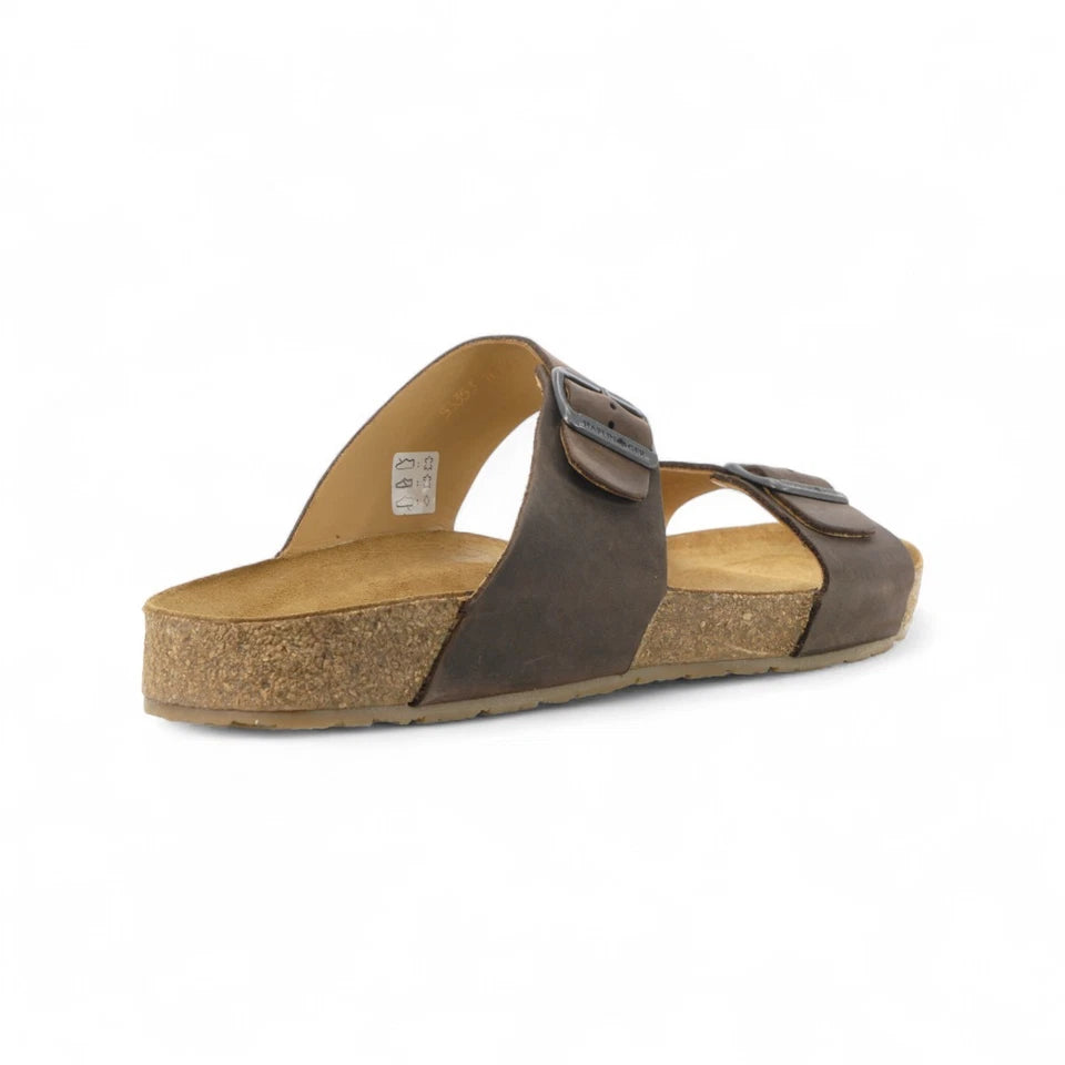 haflinger andrea | brown chocco