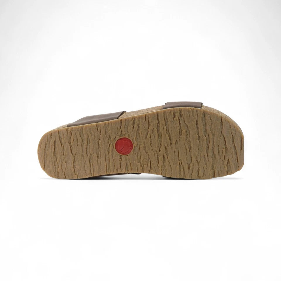 haflinger andrea | brown chocco