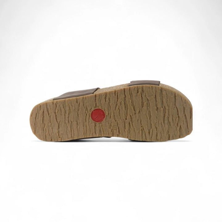 haflinger andrea | brown chocco