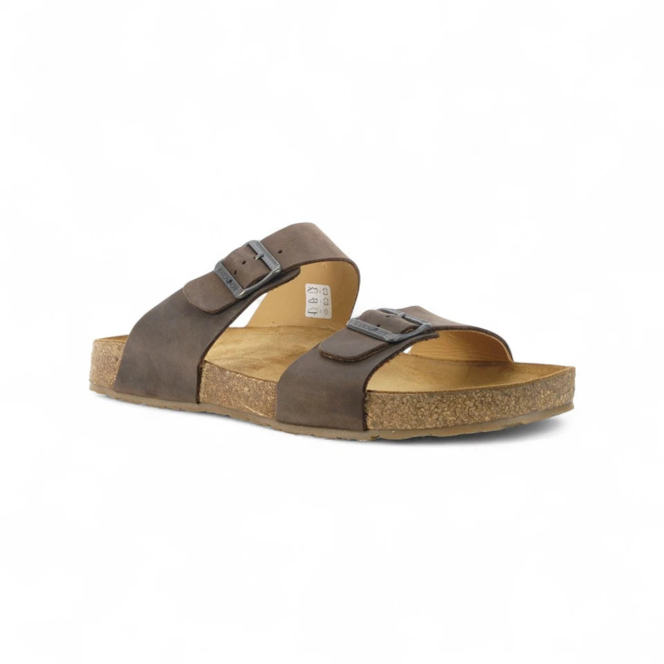 haflinger andrea | brown chocco